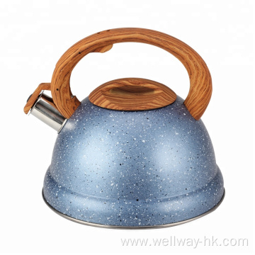 3L Tea Kettle Stainless Steel With Plastic Handle